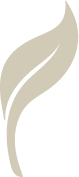 Tiara Symbol